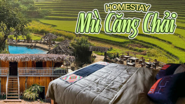 appreciate, blind cang chai, golden time, local people, mu cang chai, photographer, 5 affordable homestays are being offered incentives for the ‘hunting’ of golden ripe rice in mu cang chai