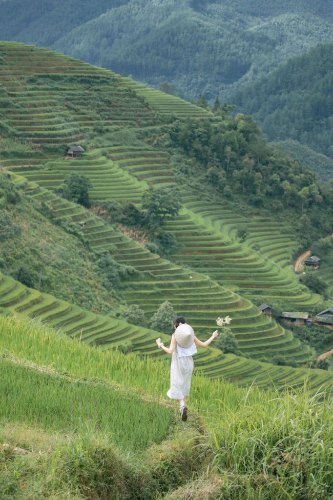 khám phá mù cang chải mùa lúa chín