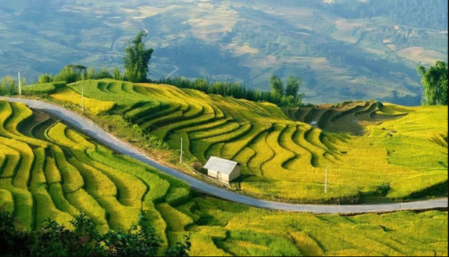 blind cang comb, northwest region, specialty yen bai, terraced fields, famous delicacies “eat once, remember” in yen bai