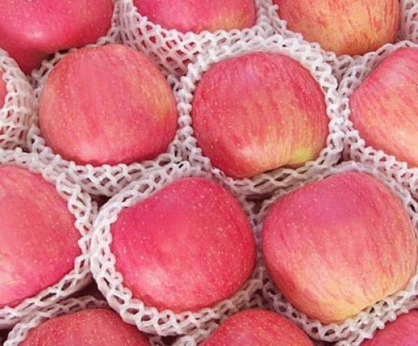 top 10 cửa hàng trái cây nhập khẩu huyện củ chi tphcm tươi, ngon