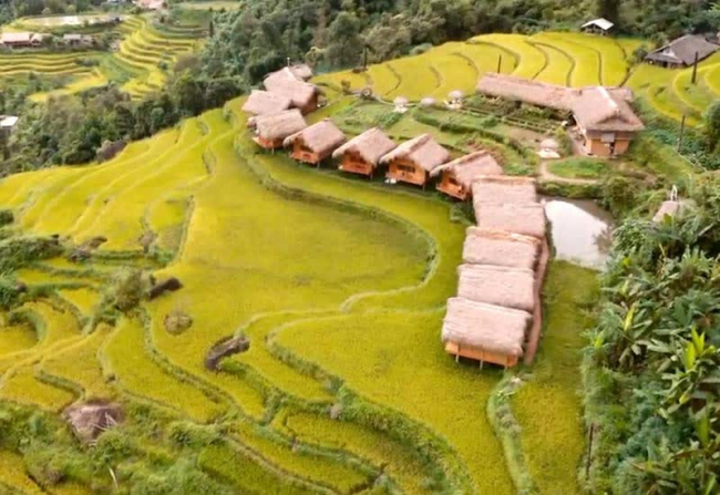 5 homestay, main rice season, northwest, ripe rice season, sightseeing, travelling, 5 homestays with a panoramic view of the beautiful northwest ripening rice season ‘forgetting the way back’ are very reasonably priced