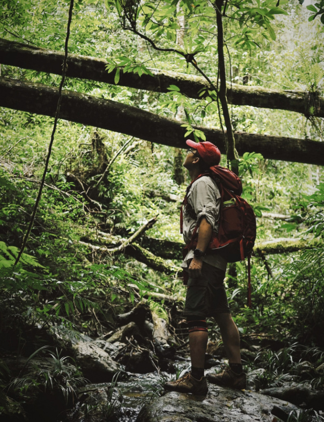 climb the mountain, forest ice, quang nam, tay giang, trekking, two days traveling through two primeval forests in tay giang