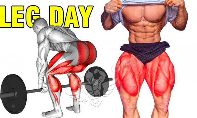 bài tập chân, big legs, leg day, leg exercises, leg workout, tập bắp chân, tập chân, tập chân nam, tập cơ chân, tập mông đùi