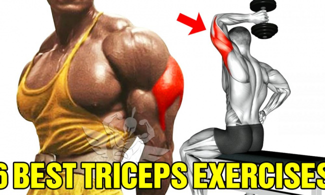 bài tập cơ tam đầu, Bette Midler, Cher, dan the hinh, Entertainment, fitness, Jay Z, Music, tập tay sau, triceps, triceps exercises, triceps workout, workout