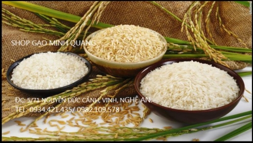 5 đại lý bán gạo chất lượng và giá rẻ tại nghệ an