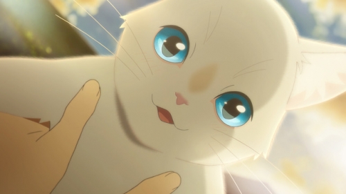 8 bộ phim anime về tình cảm học đường hay và thú vị nhất