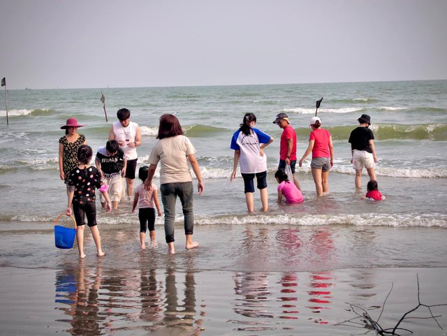 camping, can gio, picnic, playing, relaxing, swimming, can gio campsite is famous for people in ho chi minh city because of its many fun and relaxing activities