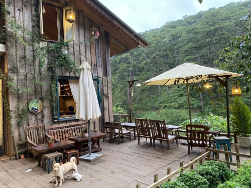 10 quán cafe trong rừng đẹp nhất ở tp. đà lạt, lâm đồng