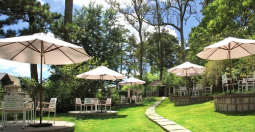 10 quán cafe trong rừng đẹp nhất ở tp. đà lạt, lâm đồng