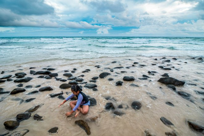 beautiful beaches, con dao travel, experience, explore, sea turtles lay eggs, unique tourism in con dao during the sea turtle spawning season