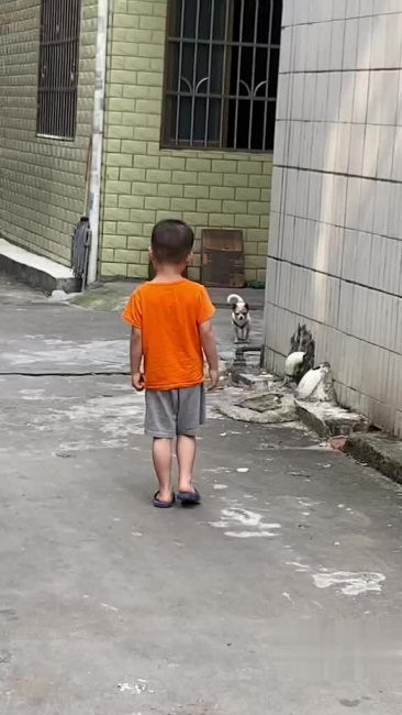 Bé trai chạy thục mạng vì trêu chó