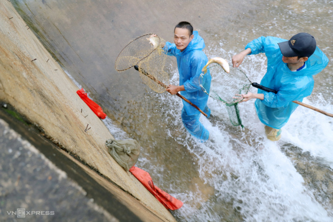catch fish, ha tinh, spillway, typhoon noru, the rain team catches fish when the dam overflows