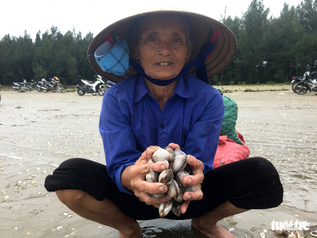 ha tinh, scallops, sea loc, storm no. 4, thousands of people cheered to pick up the ‘sea fortune’ after the storm