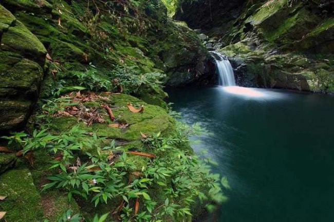 vườn quốc gia bạch mã – vẻ đẹp hùng vĩ của núi rừng cố đô