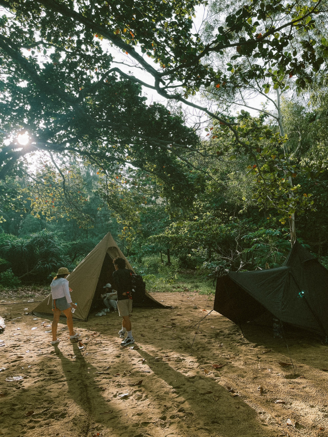 camping, cu lao mai nha, experience, phu yen, sunrise, sunset, travel, an emerging camping site in phu yen: where there are grass hills to hunt beautiful sunrises