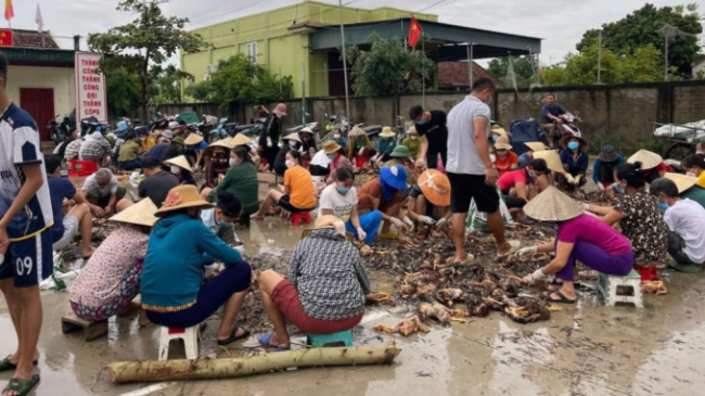 central flood, chicken farm rescue, circulation of storm noru, dien chau, flood, nghe an, spread social networks, vietnamese people help each other, the whole village neighborhood gathered to ‘rescue’ the farm of 4,000 chickens that was submerged by the flood