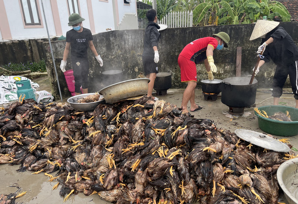 central flood, chicken farm rescue, circulation of storm noru, dien chau, flood, nghe an, spread social networks, vietnamese people help each other, the whole village neighborhood gathered to ‘rescue’ the farm of 4,000 chickens that was submerged by the flood