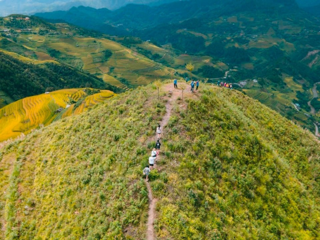 fuji, mu cang chai, northwest, palace of the danes, rainbow mountain, raspberry, raspberry hill, sticky rice, terraced fields, raspberry hill is ‘irresistibly beautiful’ in mu cang chai, not everyone knows
