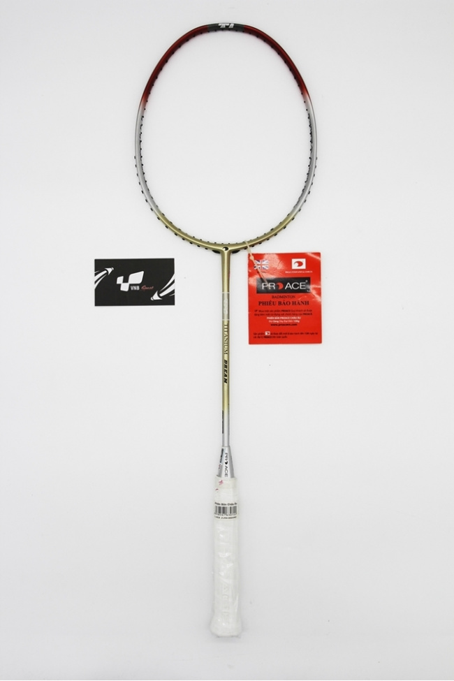 các mẫu vợt cầu lông cao cấp thương hiệu proace đáng cân nhắc