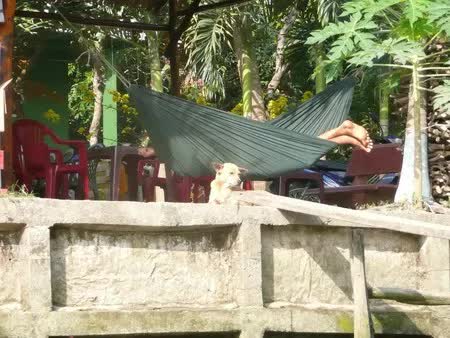 backpackers, going backpacking, guests, tourists sum up all kinds of economical travel in vietnam: going backpacking, the hammock is the cheapest!
