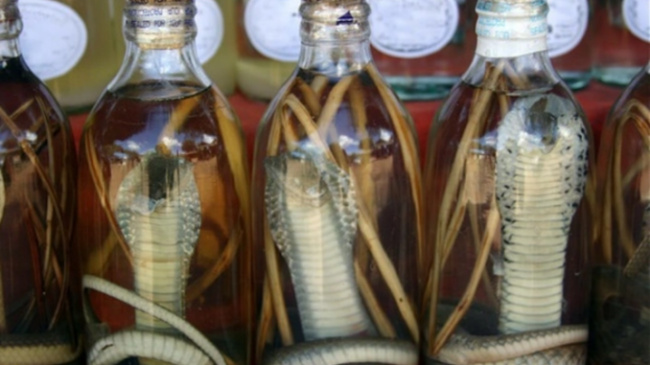 cambodian fried spider, shocking dishes, vietnamese snake wine, vietnam has a “shocking dish” of southeast asian cuisine