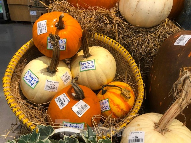 halowen, pumpkin, the million-dong pumpkin hasn’t come to halloween yet, but customers still order in droves