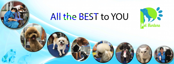 top 10 dịch vụ spa thú cưng quận thủ đức chất lượng, uy tín