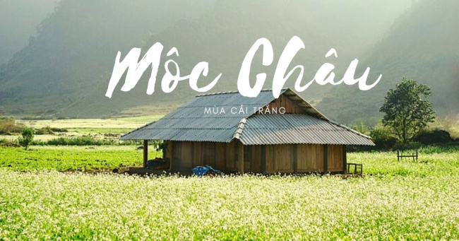 culinary discovery, late autumn, moc chau, travel, travel expenses, planning to go to moc chau to see the rape flower valley at a cost of only 150$
