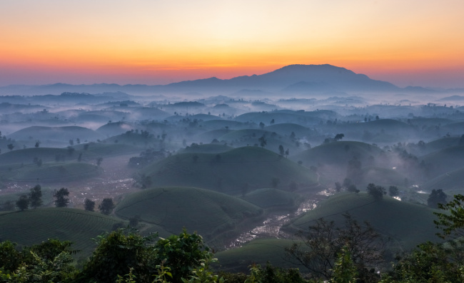 long coc, phu-tho, tea plantation, watch the sunrise at long coc tea hill