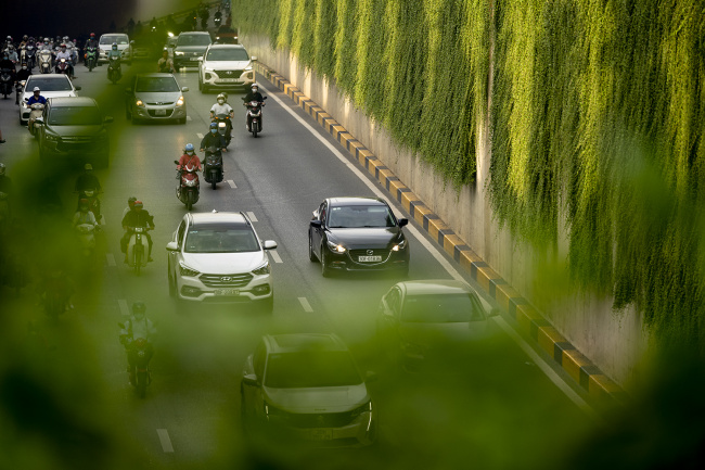hanoi, the road covered with picturesque vines in the heart of hanoi