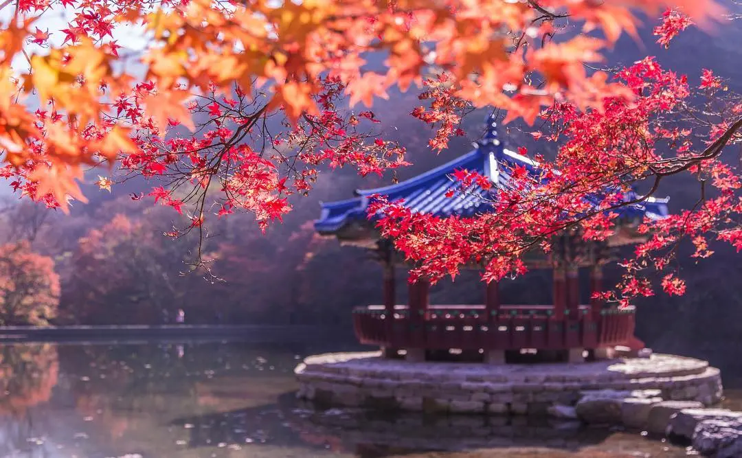 Nơi để tận hưởng một mùa thu tuyệt vời tại Hàn Quốc