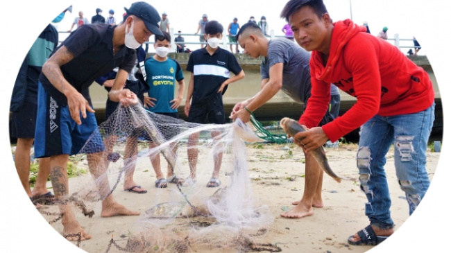 catch fish, danang, typhoon noru, after the storm, people in da nang go to the sea to catch fish… fresh water, make a lot of money