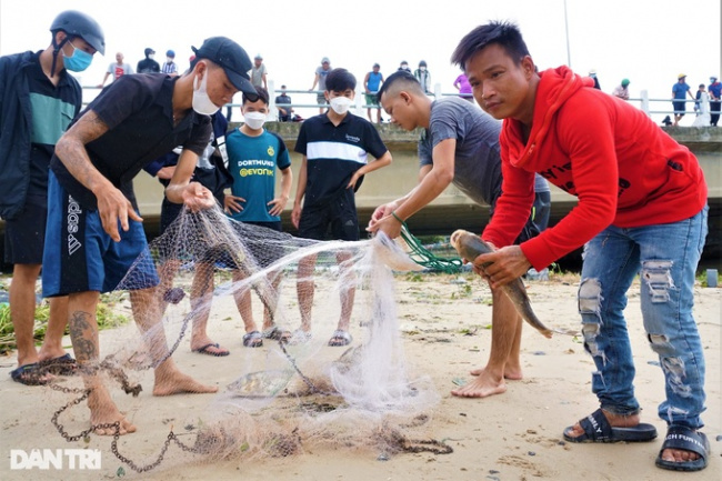 catch fish, danang, typhoon noru, after the storm, people in da nang go to the sea to catch fish… fresh water, make a lot of money