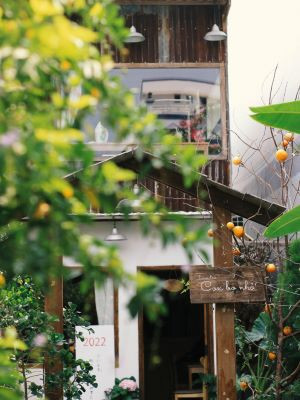 top 8 quán cafe siêu hot view đẹp ở tiền giang