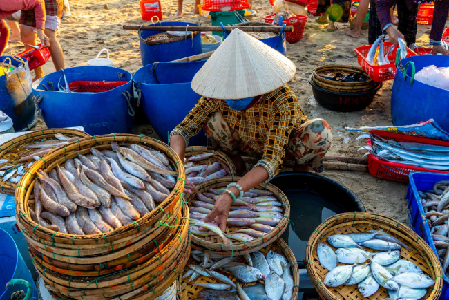 basket, begging, fish market, go to market, quang burden, tam tien fish market, the idyllic beauty in the early morning at the largest fish market in quang nam
