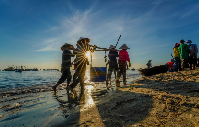 basket, begging, fish market, go to market, quang burden, tam tien fish market, the idyllic beauty in the early morning at the largest fish market in quang nam