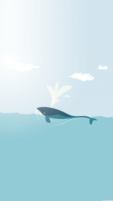 Ghim của Patricia ZR trên Chill trong 2022 | Cá mập, Khủng long, Điện thoại  | Cá mập, Thiệp dễ thương, Thiệp
