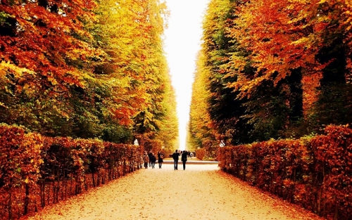 top 10 điểm du lịch đẹp nhất vào mùa thu