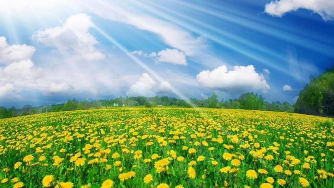 Hình ảnh mùa xuân thiên nhiên đẹp nhất - Ảnh đẹp thiên nhiên