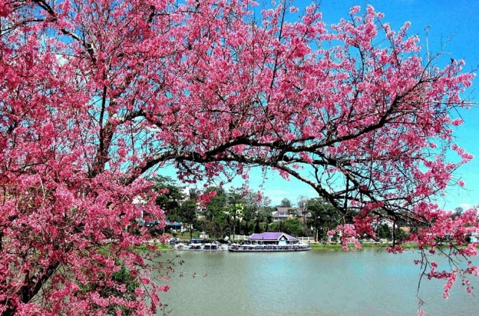 top 99+ hình ảnh mùa xuân đẹp, thơ mộng tràn đầy sức sống