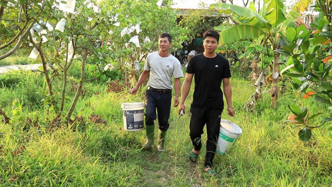 thanh hoa, vinh loc district, vinh yen commune, yen ton thuong village, returning home to ‘hug’ 10 hectares of land, 9x youths planted all kinds of trees, generating more than 1 billion vnd in revenue