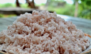 cassava sticky rice, dien bien tourism, lam rice, northwest delicacies, northwest tourism, nuong sticky rice, red rice rice, come to dien bien to eat sticky rice with cassava, rice lam sticky rice with upland rice