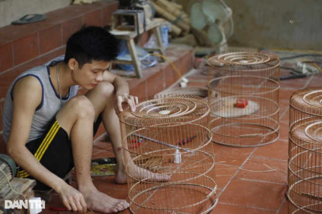 bird cage thief, canh hoach village, hanoi, majestic, the village “builds houses” for birds, produces 3000 pieces/day, and workers can’t finish their work
