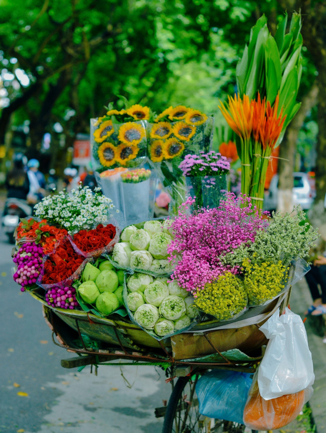 beard of flowers, hanoi, nightingale, o quan chuong, phan dinh phung, sunflowers, thuy khue, tran thanh xuan, tu pham, umbrella gate, voi phuc temple, hanoi is surprisingly beautiful on the flower carts down the street