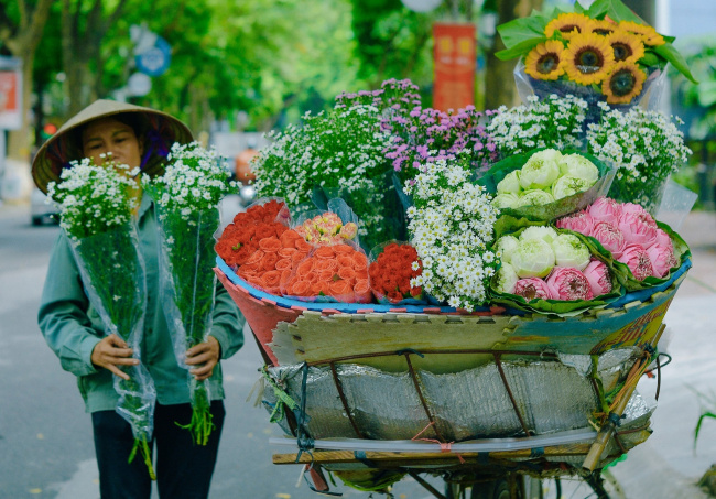 beard of flowers, hanoi, nightingale, o quan chuong, phan dinh phung, sunflowers, thuy khue, tran thanh xuan, tu pham, umbrella gate, voi phuc temple, hanoi is surprisingly beautiful on the flower carts down the street
