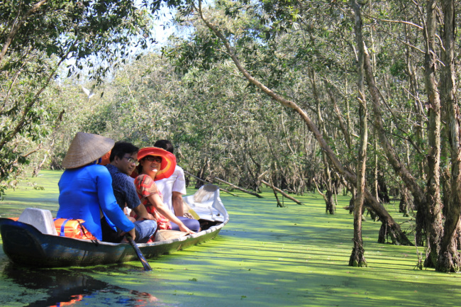 an giang, melaleuca forests, tinh bien district, tra su melaleuca forest, the idyllic beauty of tra su melaleuca forest