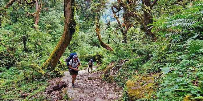 trekking langbiang – du lịch đà lạt chưa bao giờ thú vị đến thế