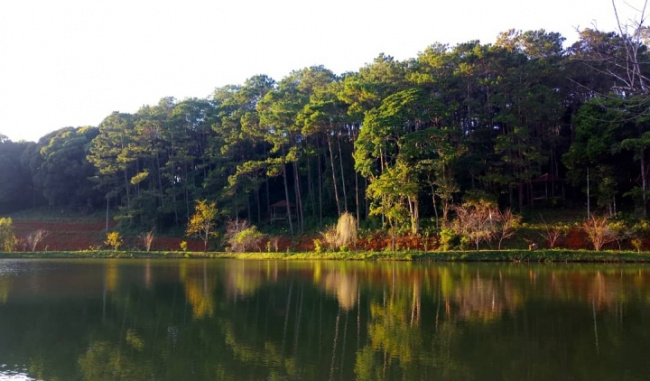black bamboo shoots, dak ke lake, ddawsk ke . lake, kon tum, lake, mang den tourism, relieve stress with the peaceful scenery of the “sleeping princess in the forest” in kon tum