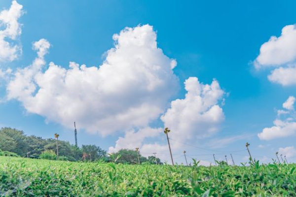 Hình ảnh bầu trời xanh tuyệt đẹp full HD cho máy tính - Trung Tâm Anh Ngữ  Quốc Tế ISEC Đà Nẵng