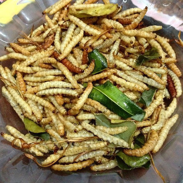 bamboo worms, ethnic people, special dishes, unique dishes, vietnam has specialties that are “cry when you hear the name” but the taste is very unique